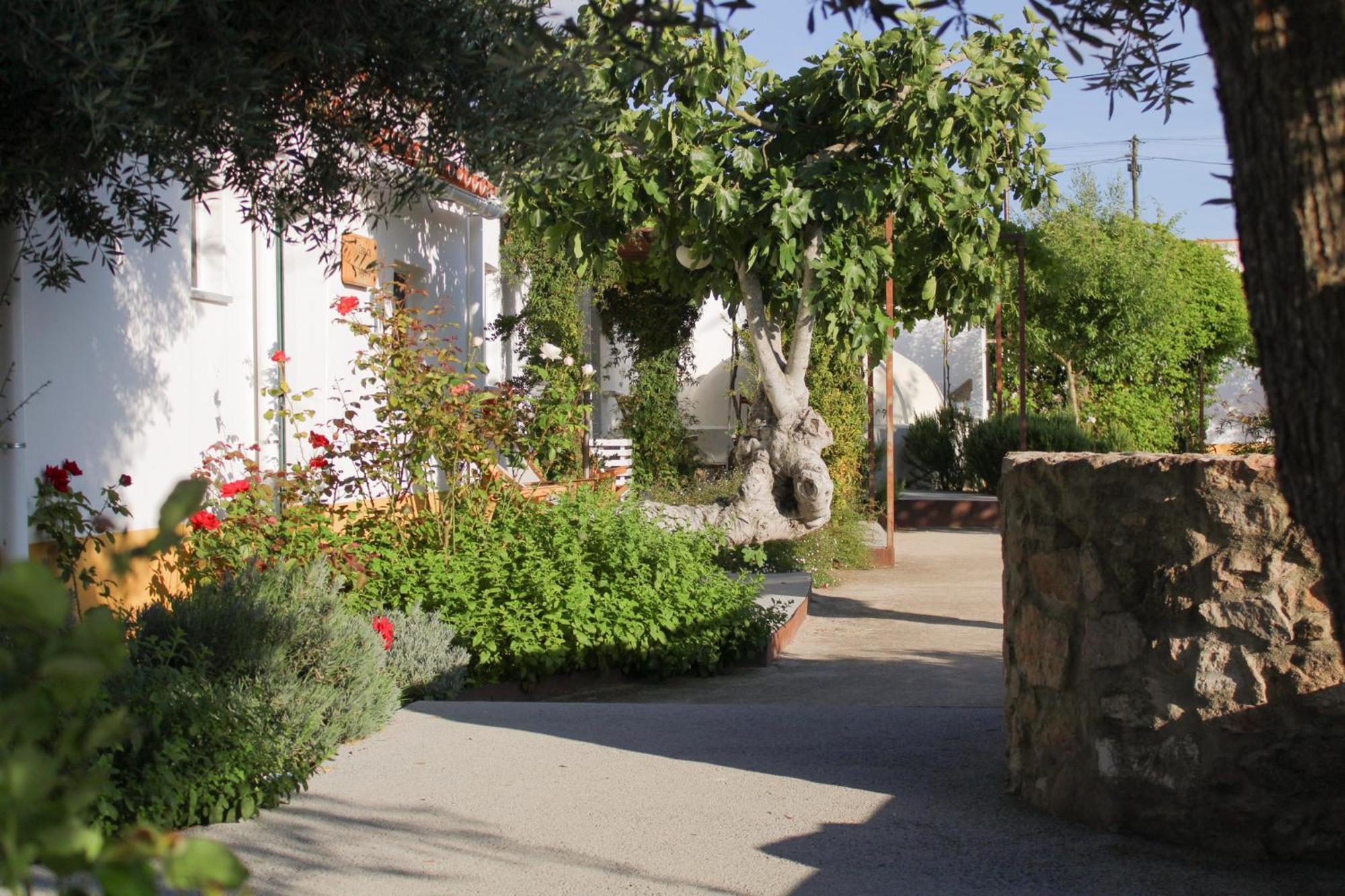 Sao Bras Do Regedouro - Turismo Na Aldeia Villa Évora Buitenkant foto