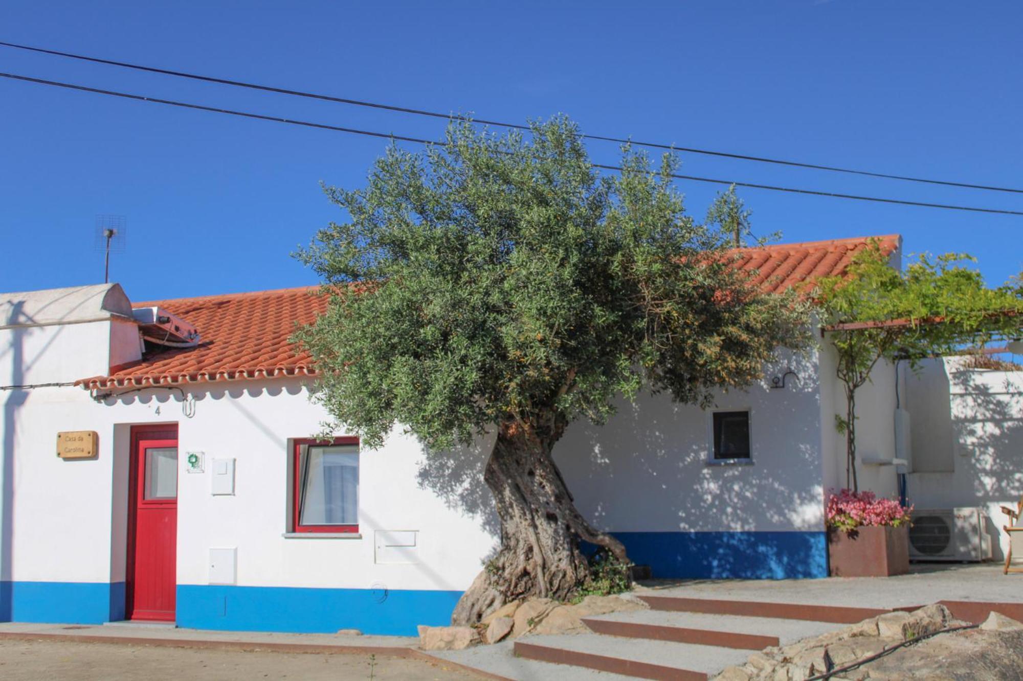 Sao Bras Do Regedouro - Turismo Na Aldeia Villa Évora Buitenkant foto